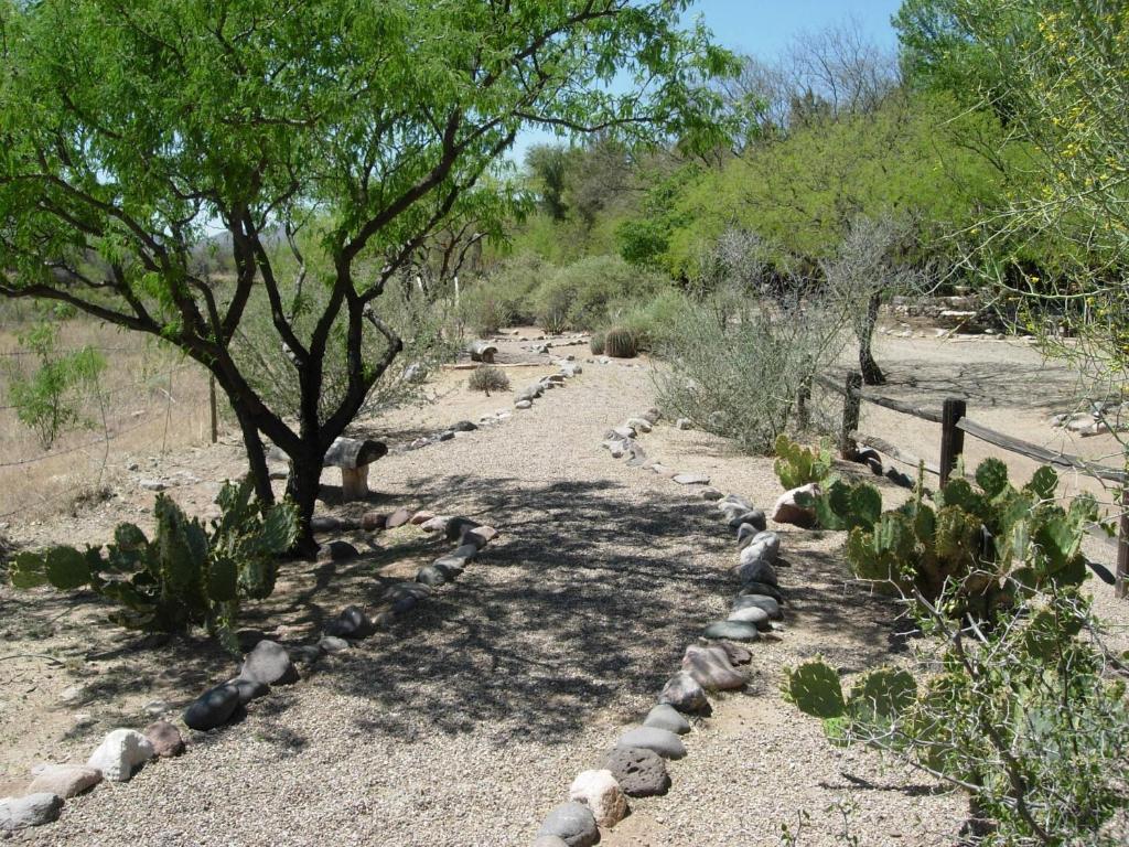 Amado Territory B&B Exterior photo